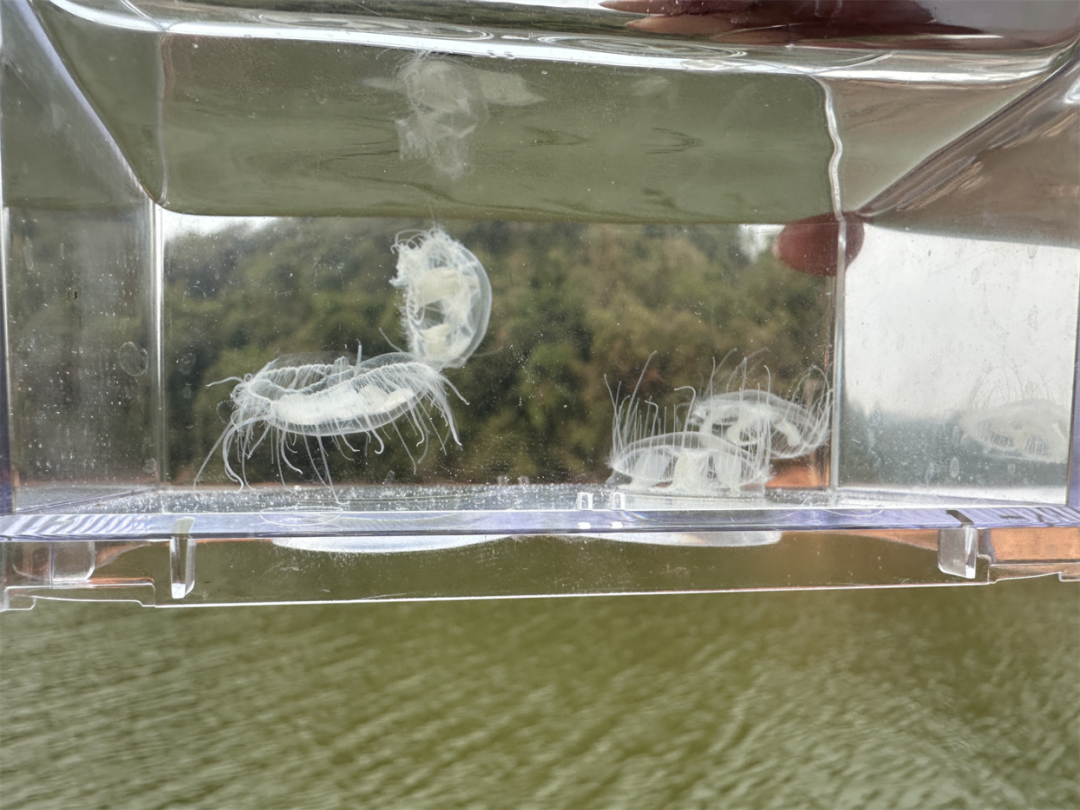 image2.png image2.png