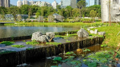 4481515 (2).png 4481515 (2).png