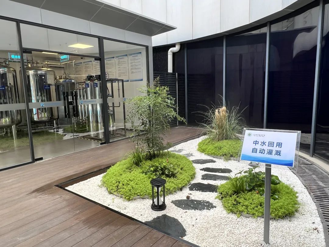 20240905_104816_013.jpg 20240905_104816_013.jpg