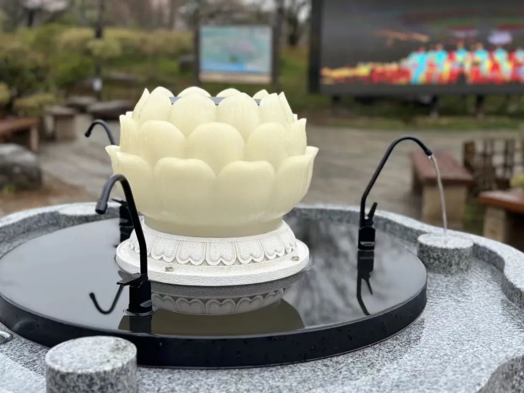 20240905_104816_014.jpg 20240905_104816_014.jpg