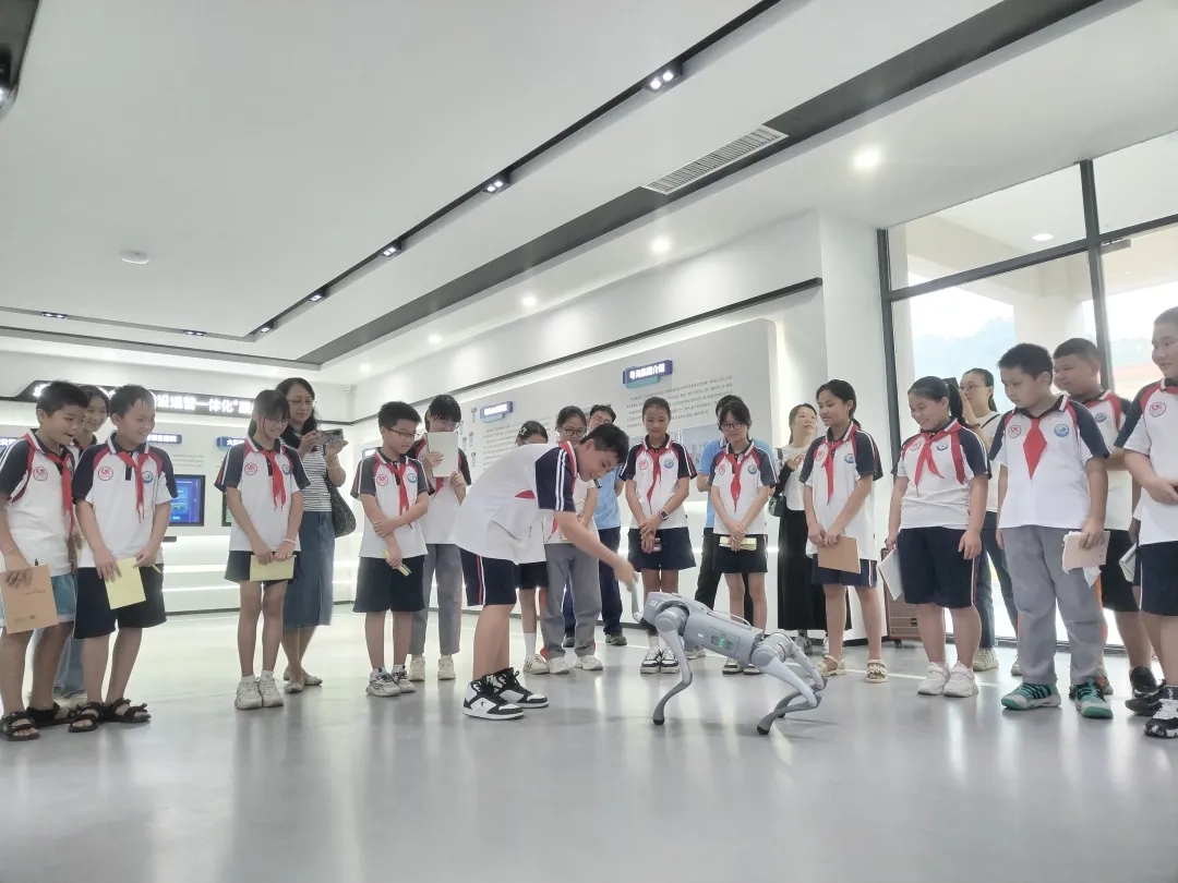 20240927_111133_002.jpg 20240927_111133_002.jpg