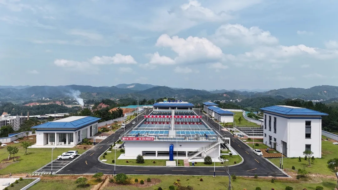 20240927_111133_004.jpg 20240927_111133_004.jpg