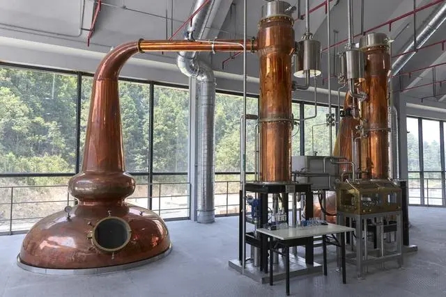 20241024_103447_002.jpg 20241024_103447_002.jpg