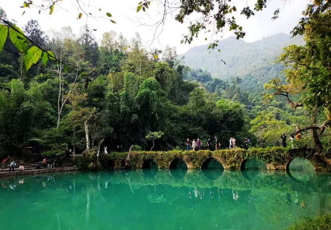 W020241230712527503896.jpg W020241230712527503896.jpg