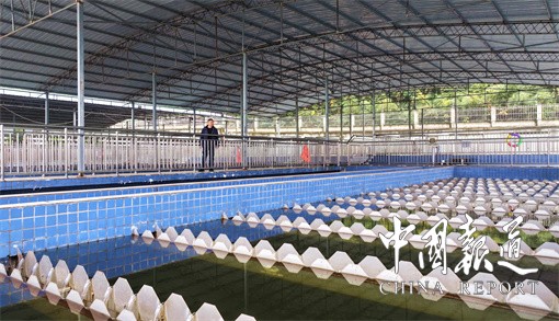 6771ff4dcfd35.jpg 6771ff4dcfd35.jpg