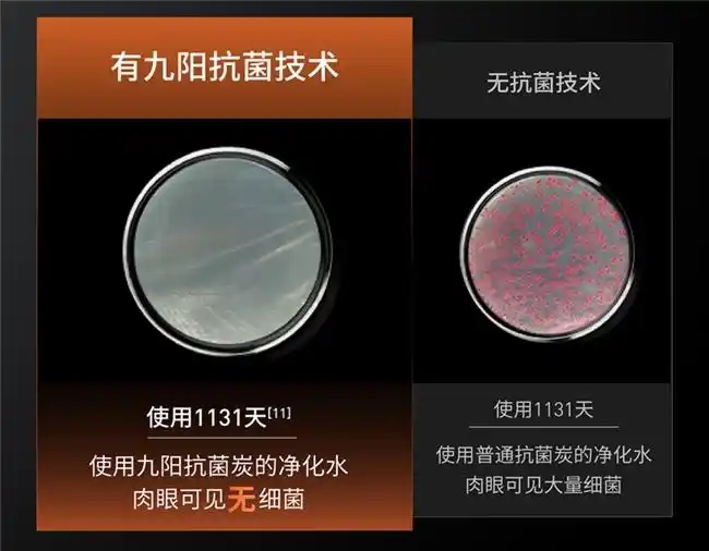 20250519_094931_005.jpg 20250519_094931_005.jpg