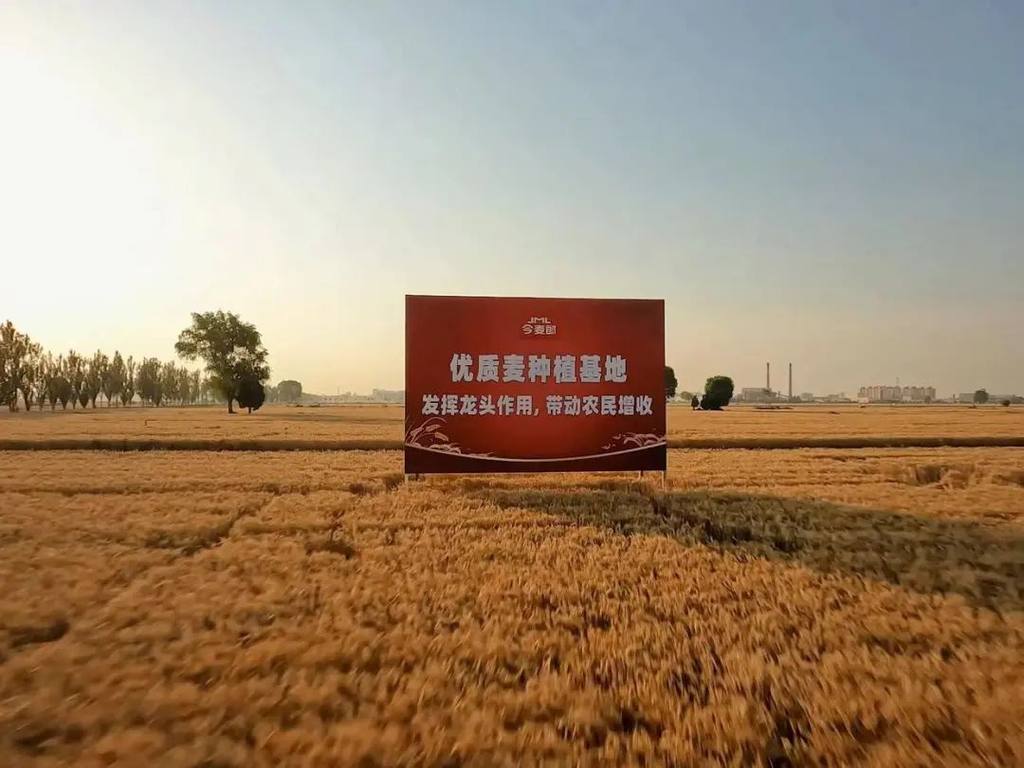 20250708_114630_007.jpeg 20250708_114630_007.jpeg