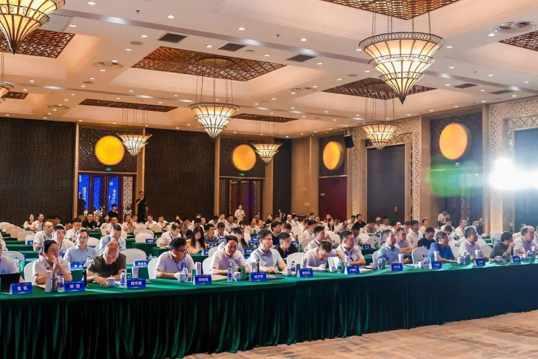 20250722_111705_001.jpg 20250722_111705_001.jpg