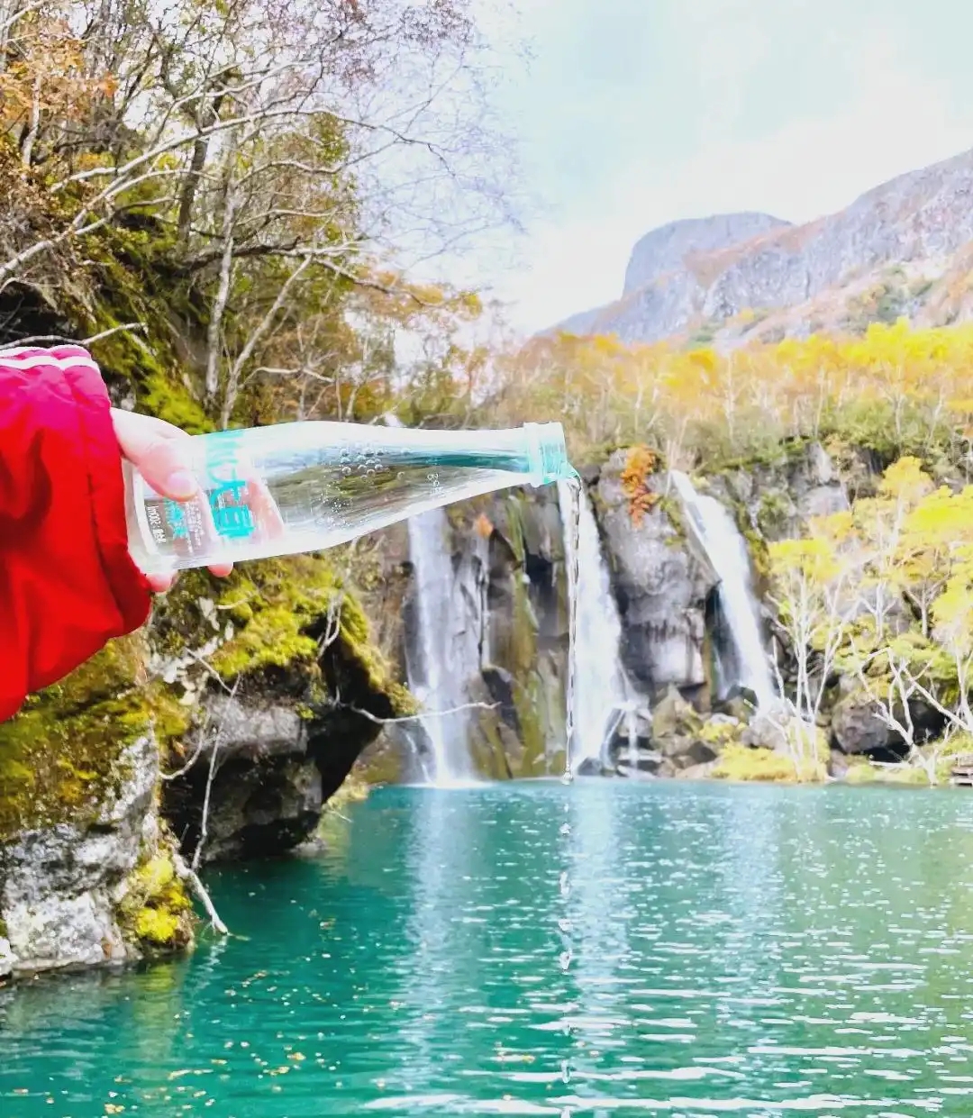 20250812_124323_001.jpg 20250812_124323_001.jpg